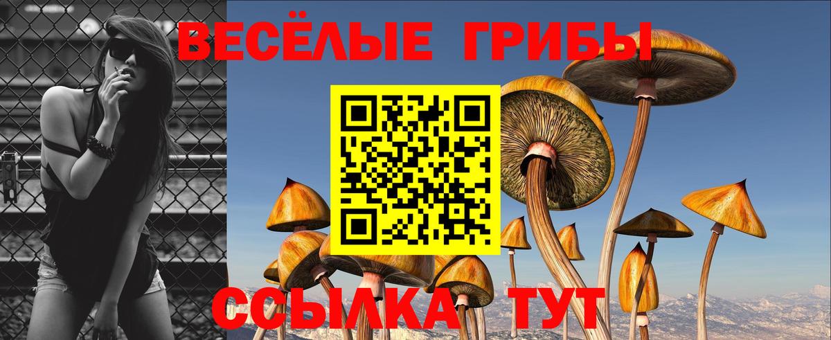 Галлюциногенные грибы Magic Shrooms Орск